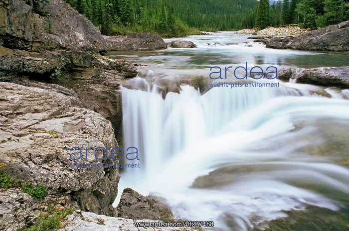: Elbow Falls in the Elbow River near Bragg : Elbow Falls in the Elbow River near Bragg