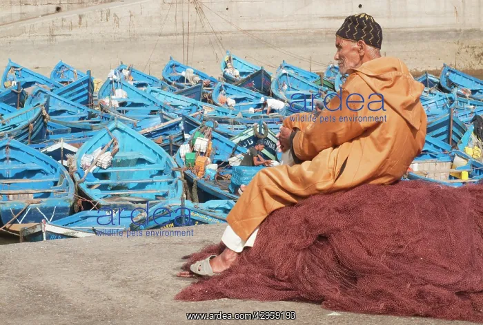: Elderly man resting on heap of fishing nets and : Elderly man resting on heap of fishing nets and