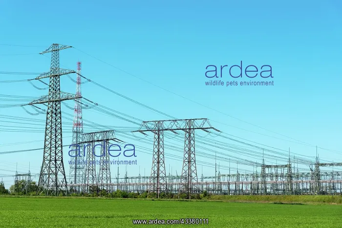 : Electricity pylons and substation in Germany : Electricity pylons and substation in Germany
