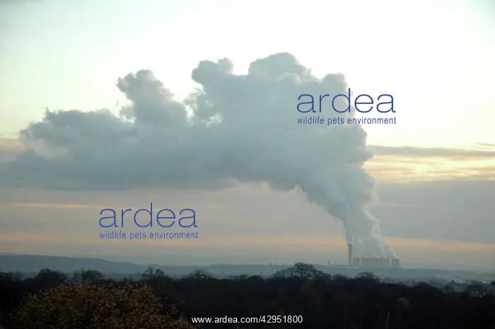 : Electricity - steam from power station cooling towers : Electricity - steam from power station cooling towers