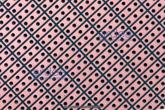 : Electronic circuit board, blank, made from copper : Electronic circuit board, blank, made from copper
