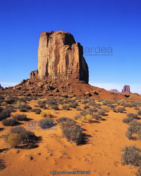 : Elephant Butte seen across the desert-floor with : Elephant Butte seen across the desert-floor with