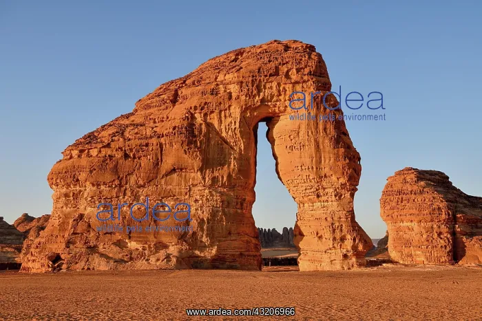 : Elephant Rock or Elephant Rock in First Daylight : Elephant Rock or Elephant Rock in First Daylight