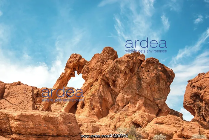 : Elephant Rock, rock formation, sandstone formation : Elephant Rock, rock formation, sandstone formation