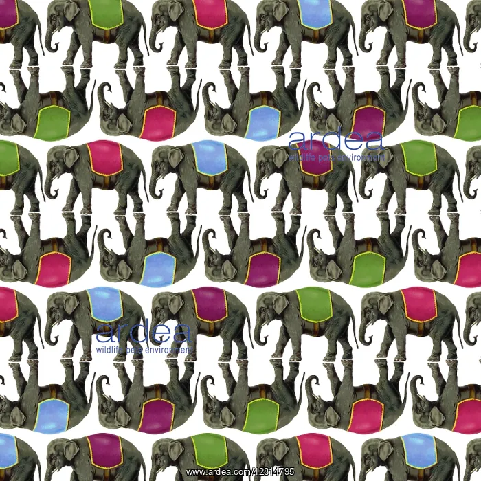 : Elephants wearing multi-coloured seat cape in repeating pattern with reflection : Elephants wearing multi-coloured seat cape in repeating pattern with reflection