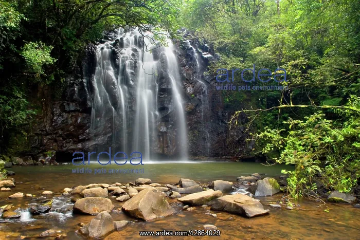 : Elinjaa Falls : Elinjaa Falls