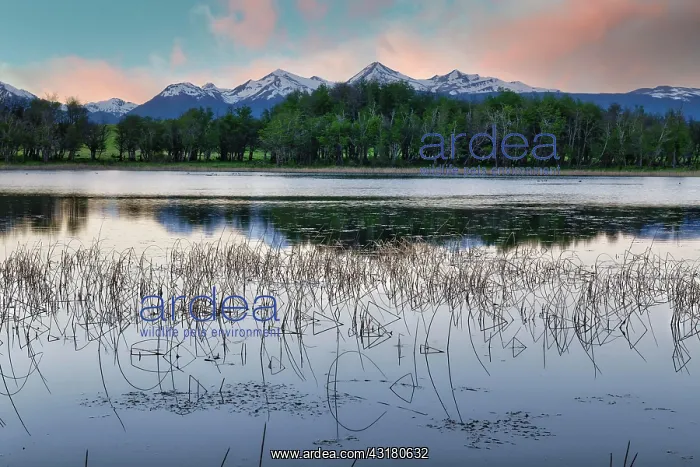 : Elizade lake, Coyhaique, Aysen Region, Patagonia : Elizade lake, Coyhaique, Aysen Region, Patagonia