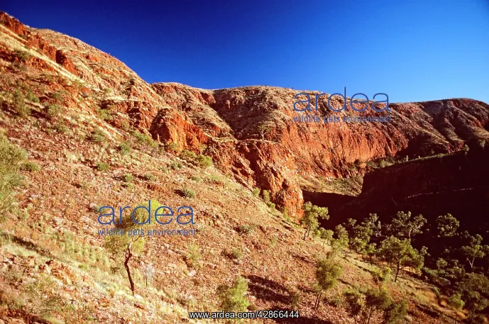 : Ellery Gorge West MacDonnell National Park : Ellery Gorge West MacDonnell National Park