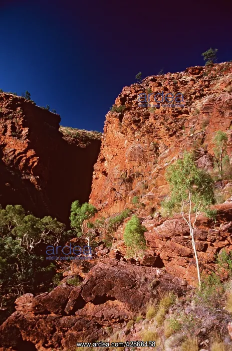 : Ellery Gorge West MacDonnell National Park : Ellery Gorge West MacDonnell National Park