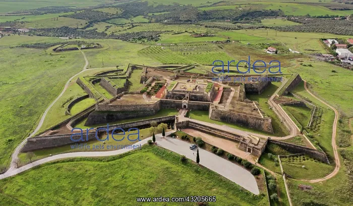 : Elvas, Portugal - 26 March, 2022: aerial view of : Elvas, Portugal - 26 March, 2022: aerial view of