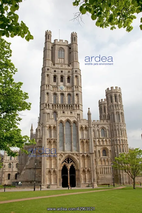 : Ely Cathedral : Ely Cathedral