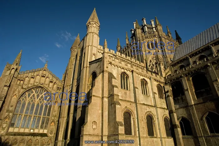 : Ely Cathedral in Ely : Ely Cathedral in Ely