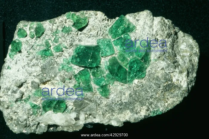 : EMERALD, Beryl : EMERALD, Beryl