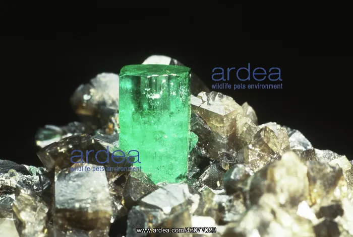 : Emerald in Calcite : Emerald in Calcite