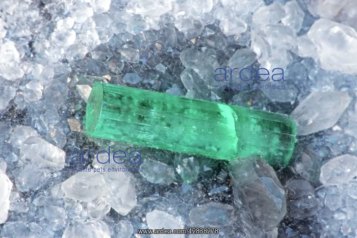  : Emerald - Colombia - Green variety of the mineral