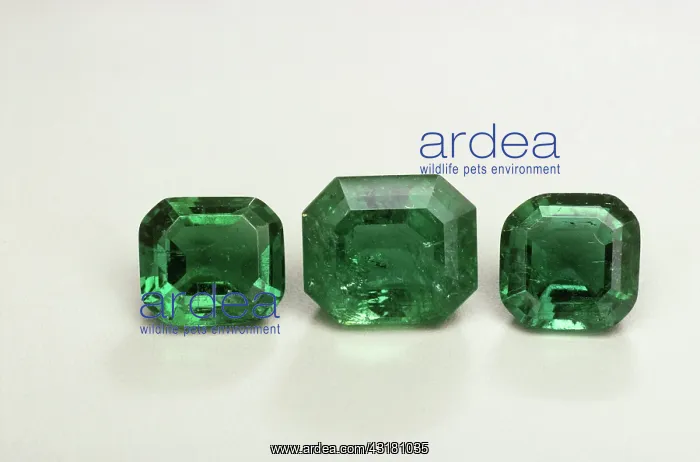 : Emerald Gemstones