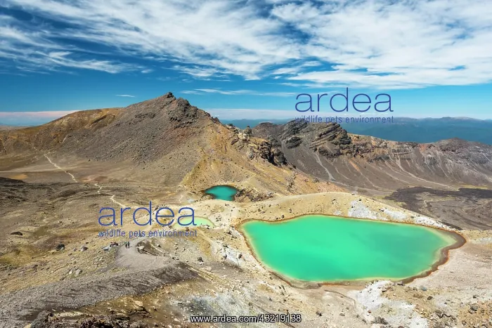  : Emerald Lakes, crater lakes, volcanic landscape