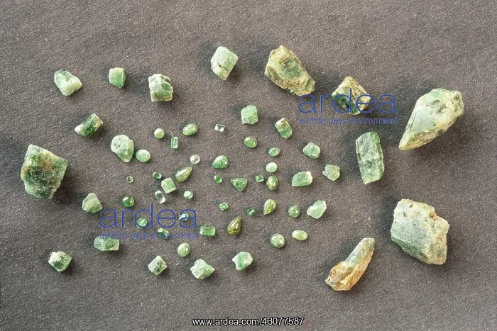 : Emeralds. A green Beryl cut, rough crystals and cabochons, : Emeralds. A green Beryl cut, rough crystals and cabochons,