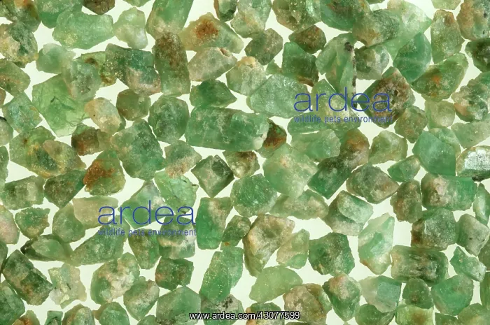 : Emeralds. Green Beryl variety emeralds near gem rough crystals, : Emeralds. Green Beryl variety emeralds near gem rough crystals,