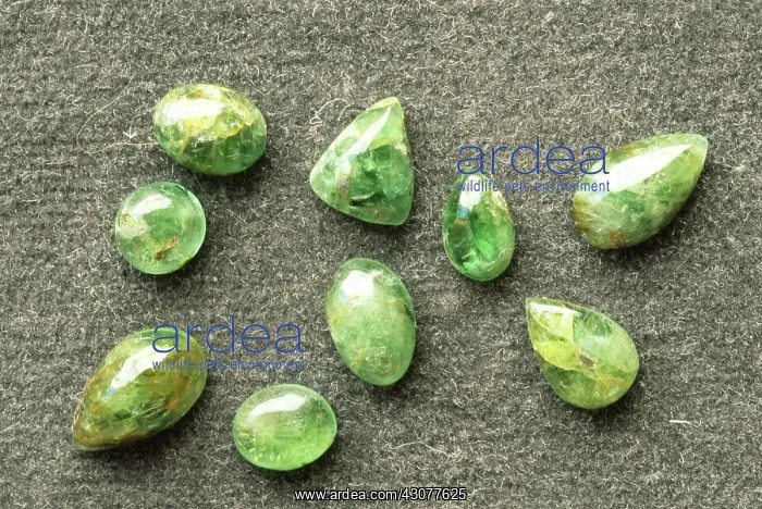 : Emeralds. Green Beryl cabochons. The gem is cut in a convex curve with no facets : Emeralds. Green Beryl cabochons. The gem is cut in a convex curve with no facets