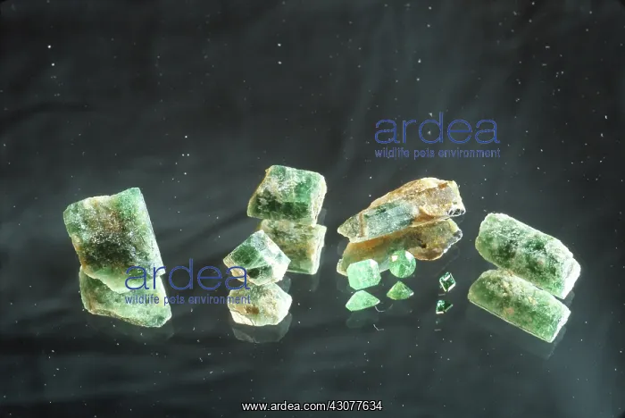 : Emeralds. A variety of green beryl emeralds, both cut-polished and rough : Emeralds. A variety of green beryl emeralds, both cut-polished and rough