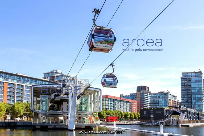 : Emirates Air Line cable car across the Thames, London : Emirates Air Line cable car across the Thames, London