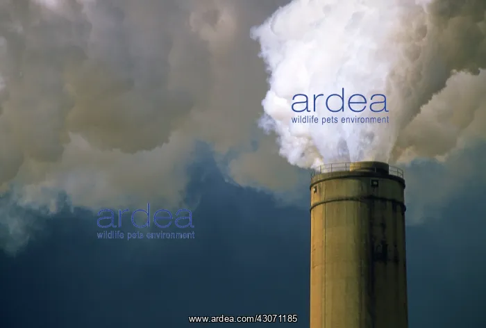 : Emissions billowing from smokestack : Emissions billowing from smokestack