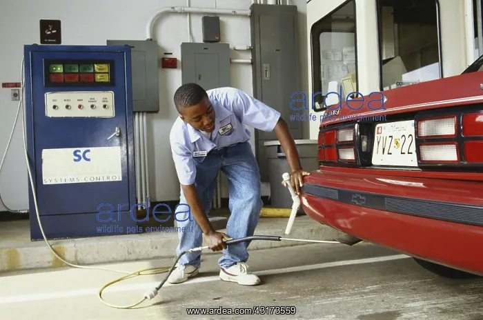 : Emissions Check : Emissions Check