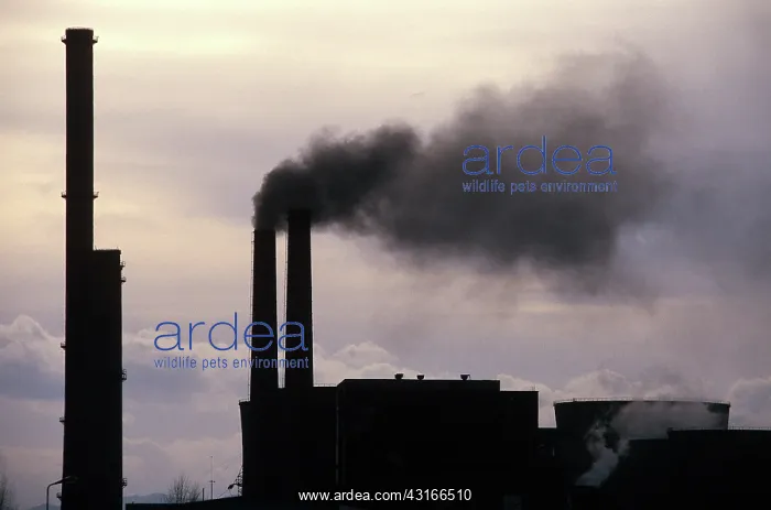 : Emissions from Coal-fired Power Plant : Emissions from Coal-fired Power Plant