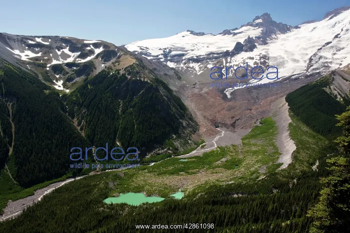 : Emmons Glacier, showing glacier, morraines, glacial : Emmons Glacier, showing glacier, morraines, glacial