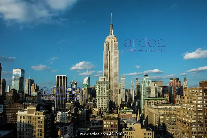  : Empire State Building, Manhattan, New York City