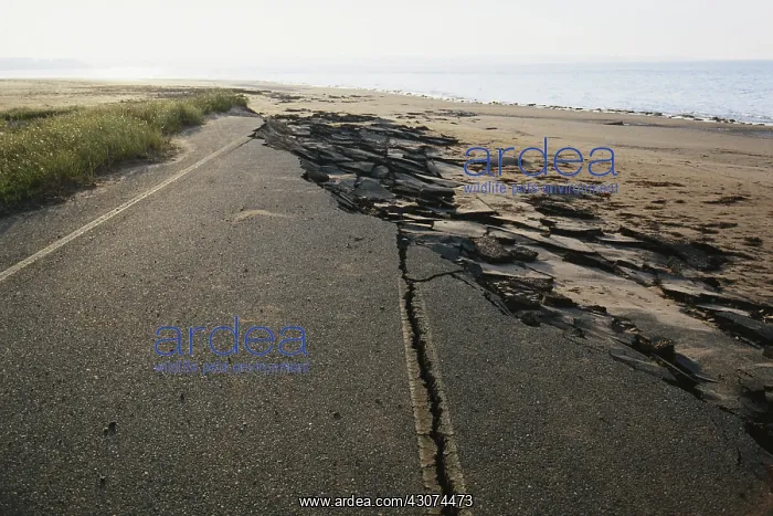 : End of the Road : End of the Road
