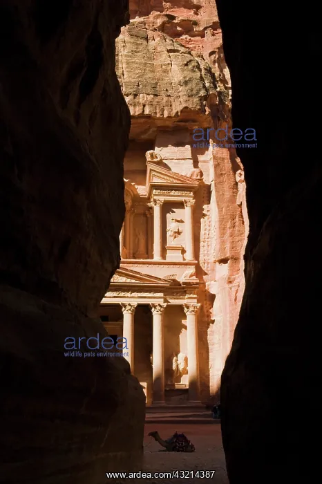  : The end of the Siq gorge, The Treasury