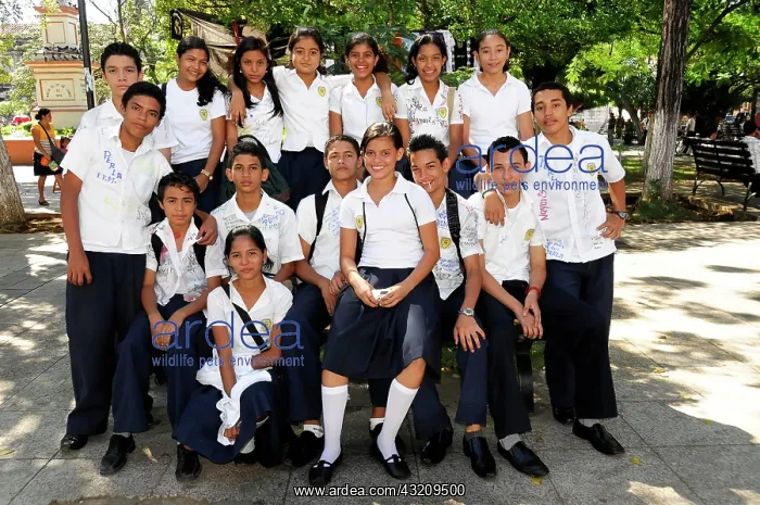 : At the end of term, students are having a group : At the end of term, students are having a group