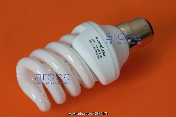 : Energy efficient light bulb or Saverlamp : Energy efficient light bulb or Saverlamp