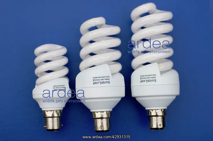 : Energy efficient light bulbs or Saverlamp : Energy efficient light bulbs or Saverlamp