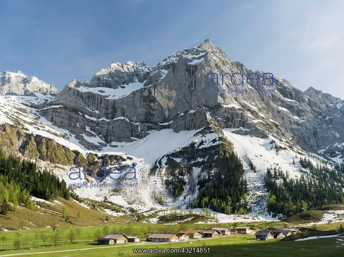 : Eng Valley, Karwendel mountain range, Austria : Eng Valley, Karwendel mountain range, Austria