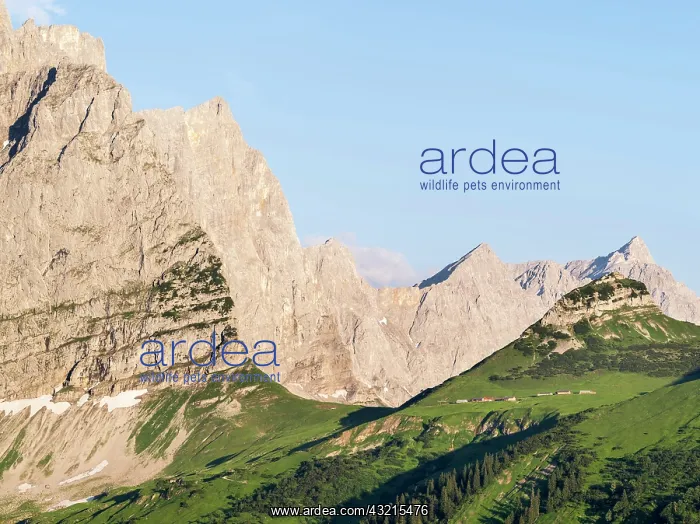 : Eng Valley, Karwendel mountain range, Austria : Eng Valley, Karwendel mountain range, Austria