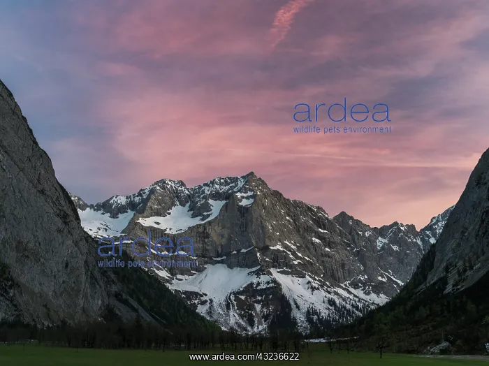 : Eng Valley, Karwendel mountain range, Austria : Eng Valley, Karwendel mountain range, Austria