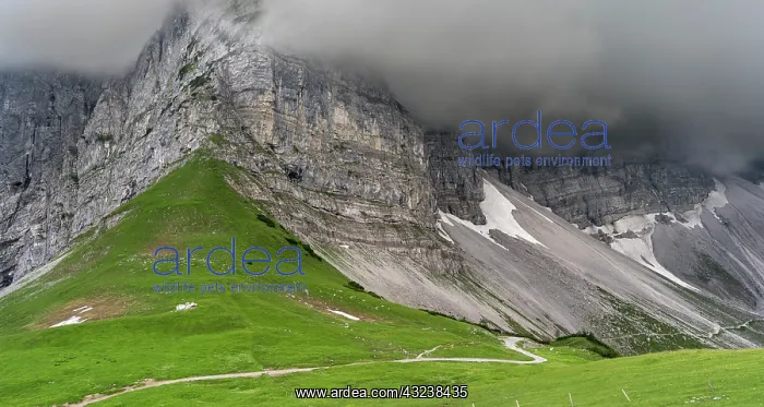 : Eng Valley, Karwendel mountain range, Austria : Eng Valley, Karwendel mountain range, Austria