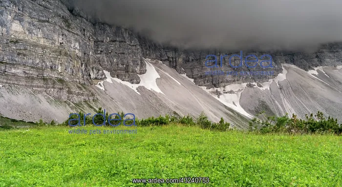: Eng Valley, Karwendel mountain range, Austria : Eng Valley, Karwendel mountain range, Austria