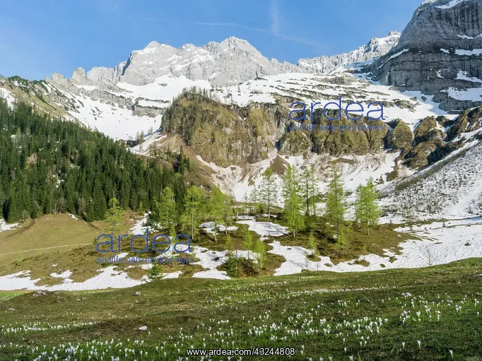 : Eng Valley, Karwendel mountain range, Austria : Eng Valley, Karwendel mountain range, Austria