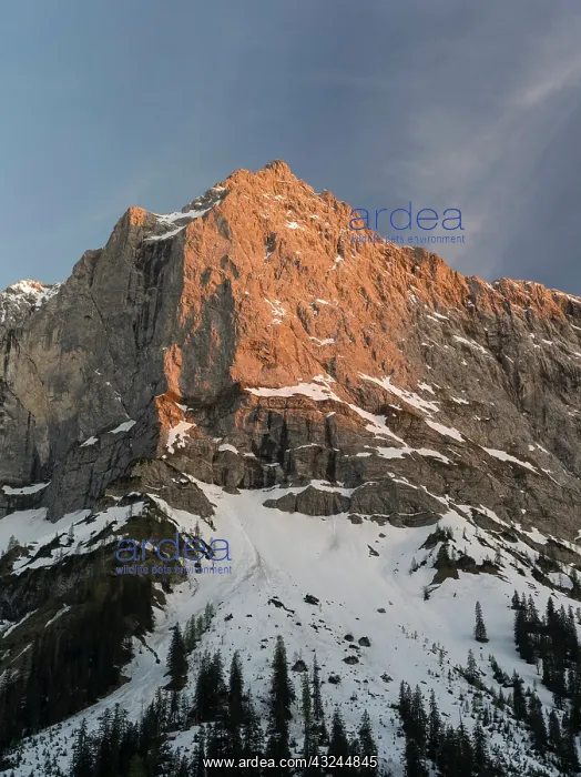 : Eng Valley, Karwendel mountain range, Austria : Eng Valley, Karwendel mountain range, Austria