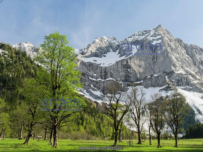 : Eng Valley, Karwendel mountain range, Austria : Eng Valley, Karwendel mountain range, Austria