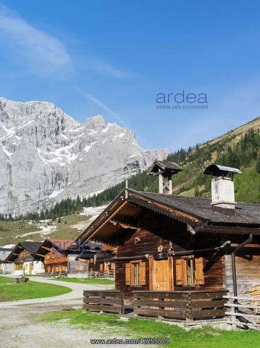 : Eng Valley, Karwendel mountain range, Austria : Eng Valley, Karwendel mountain range, Austria