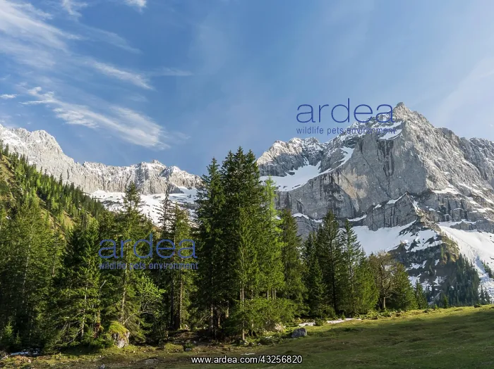 : Eng Valley, Karwendel mountain range, Austria : Eng Valley, Karwendel mountain range, Austria