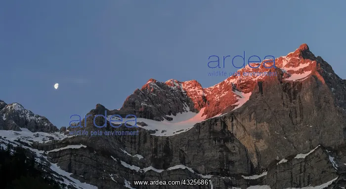 : Eng Valley, Karwendel mountain range, Austria : Eng Valley, Karwendel mountain range, Austria