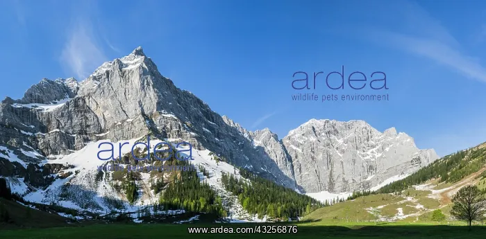 : Eng Valley, Karwendel mountain range, Austria : Eng Valley, Karwendel mountain range, Austria