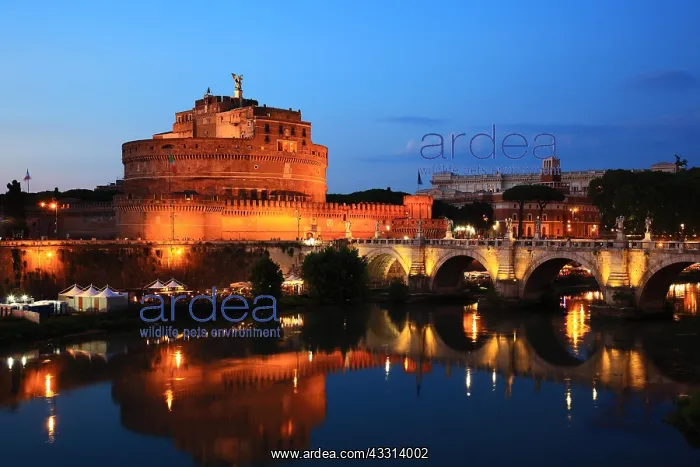 : Engelsburg, Castel Sant?Angelo, Mausoleo di Adriano : Engelsburg, Castel Sant?Angelo, Mausoleo di Adriano