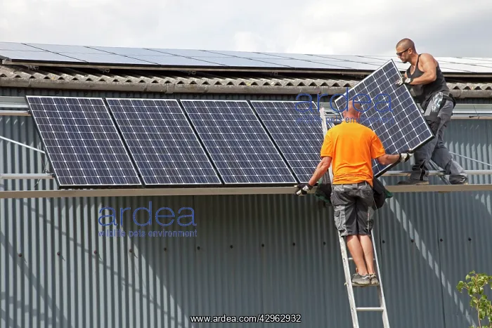 : Two engineers installing photovoltaic solar PV : Two engineers installing photovoltaic solar PV